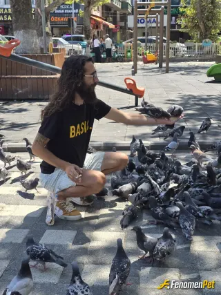 Sokak hayvanı besleme: Düzenli olarak her gün 2 paket aşurelik buğday alıp ellerimle beslerim.
