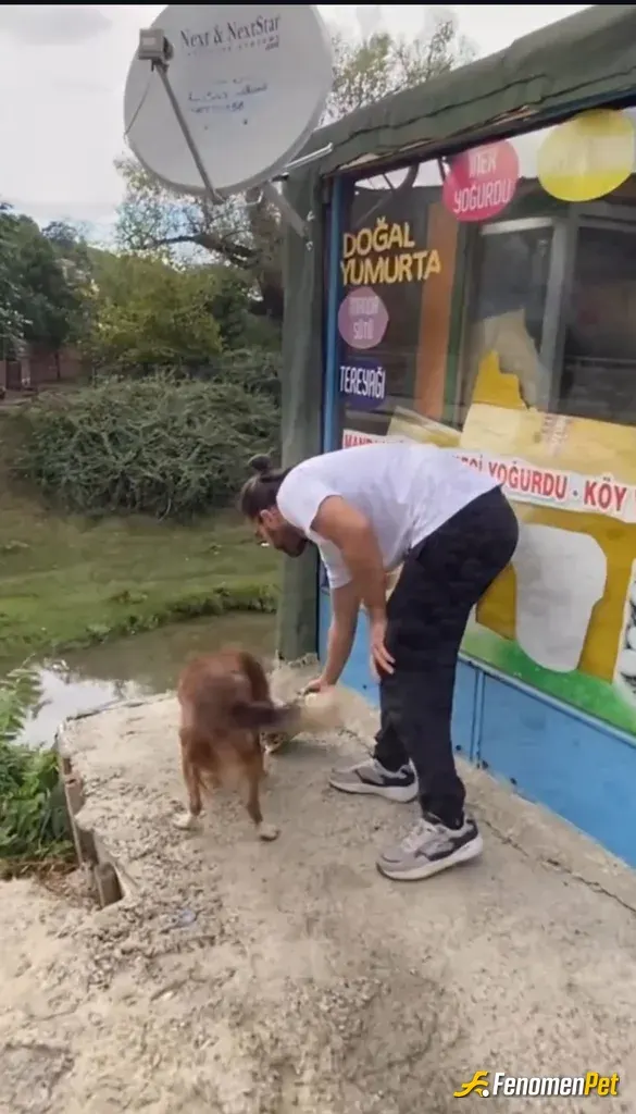 Sokak hayvanı besleme: Evimde zaten kedi besliyorum
Dışarıda da ara ara mama alıp mahallede ki kedilere veriyorum
