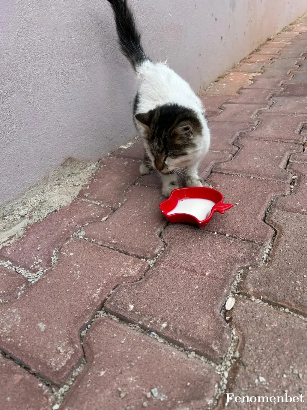 SarbaS tarafından paylaşılan fotoğraf