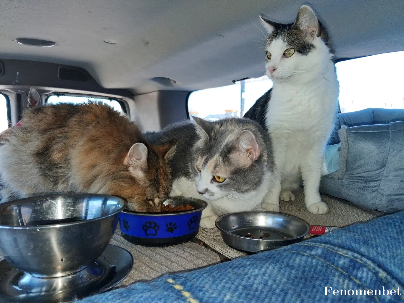 tlgcrkk tarafından paylaşılan fotoğraf