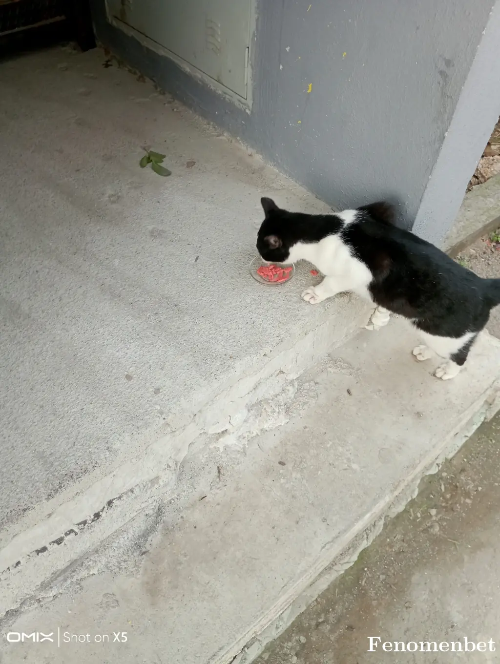 Osman1723 tarafından paylaşılan fotoğraf