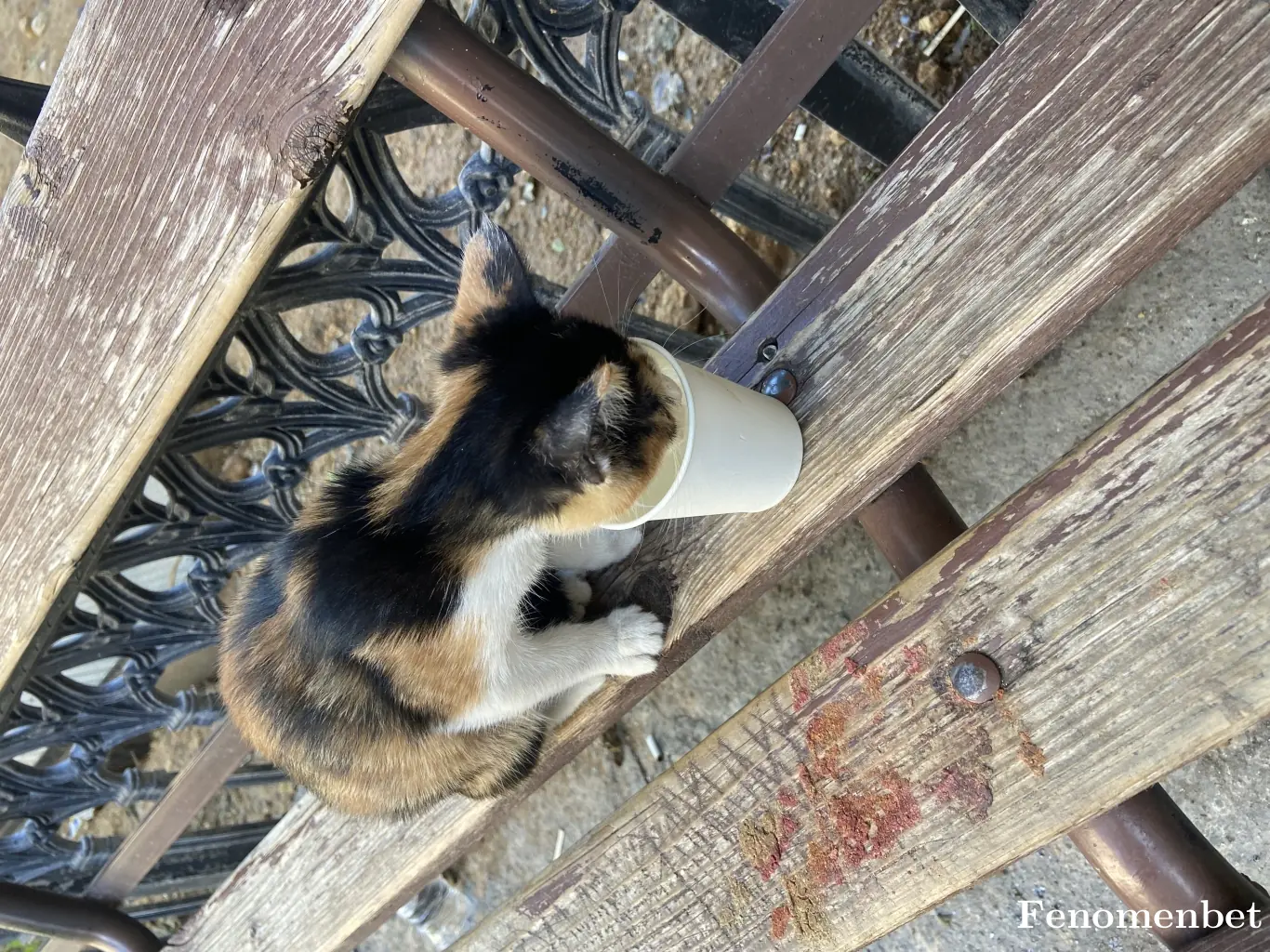 Yusufkyt tarafından paylaşılan fotoğraf