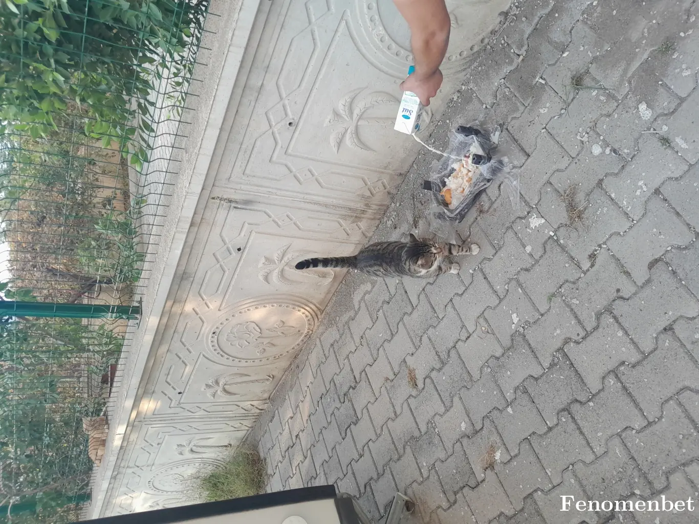 Orkunkar  tarafından paylaşılan fotoğraf