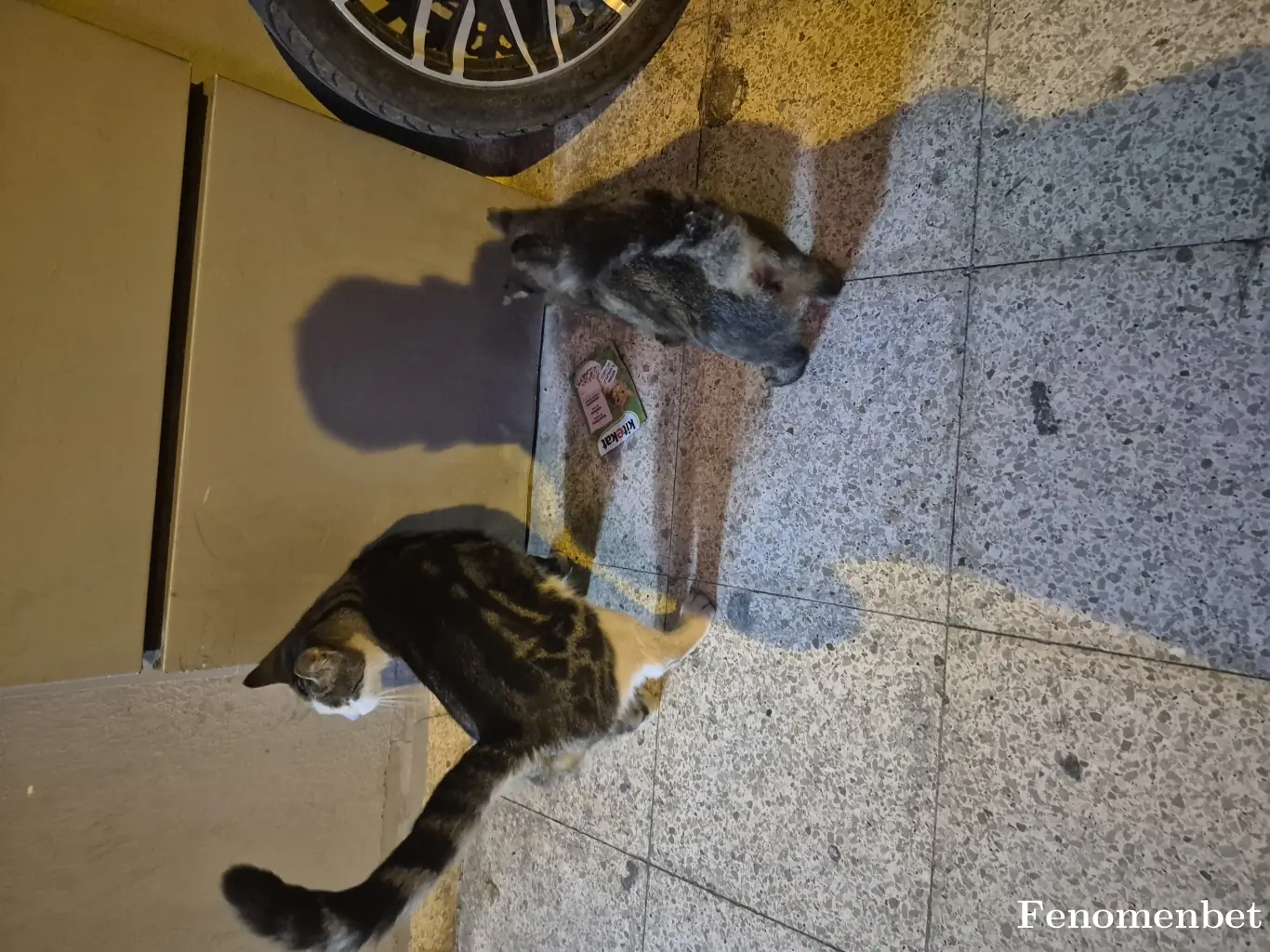 Ogzhnbyrm1 tarafından paylaşılan fotoğraf