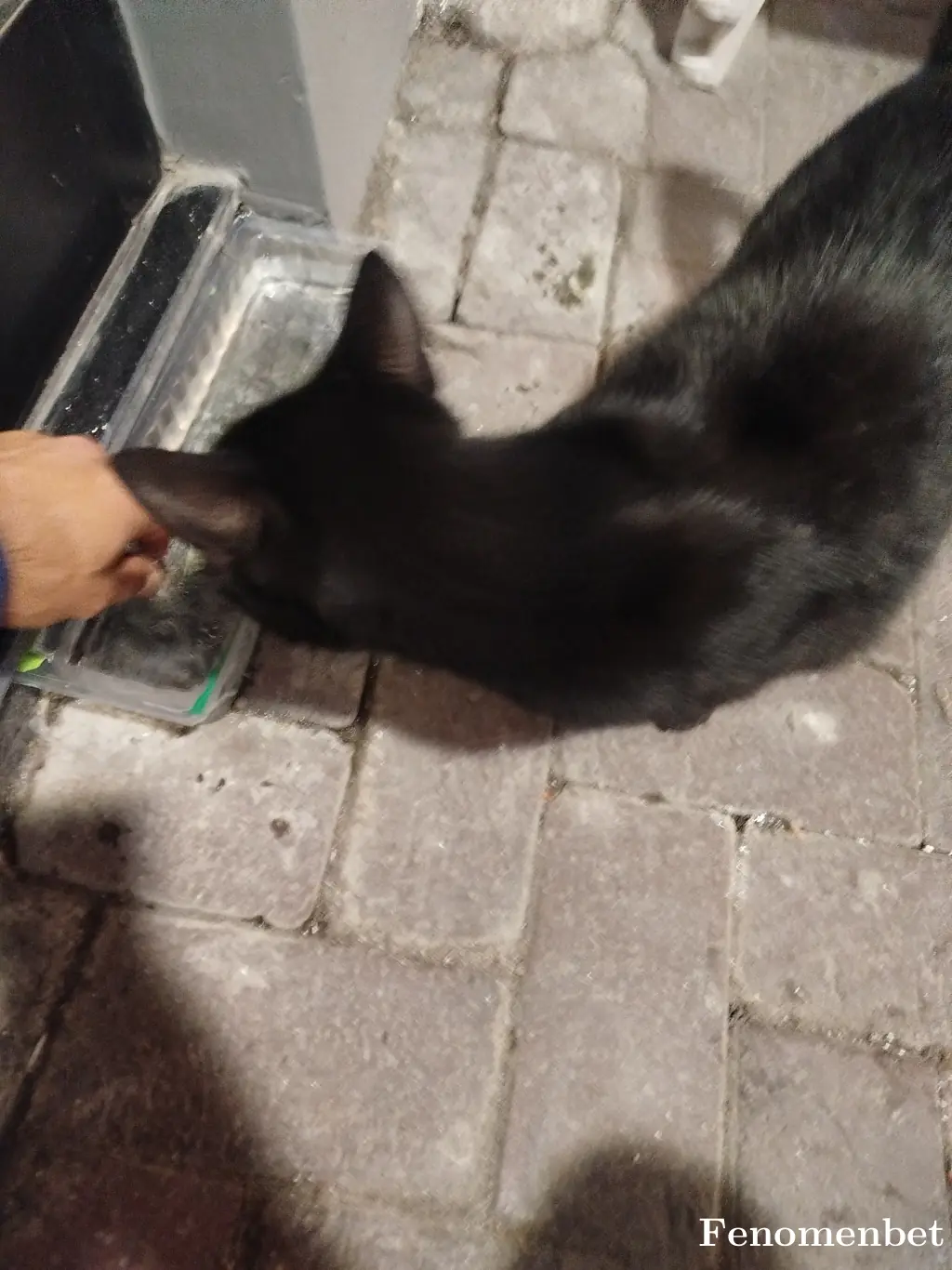 Vonals tarafından paylaşılan fotoğraf