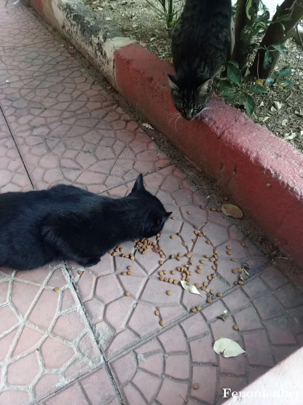 oguzhanhoca  tarafından paylaşılan fotoğraf