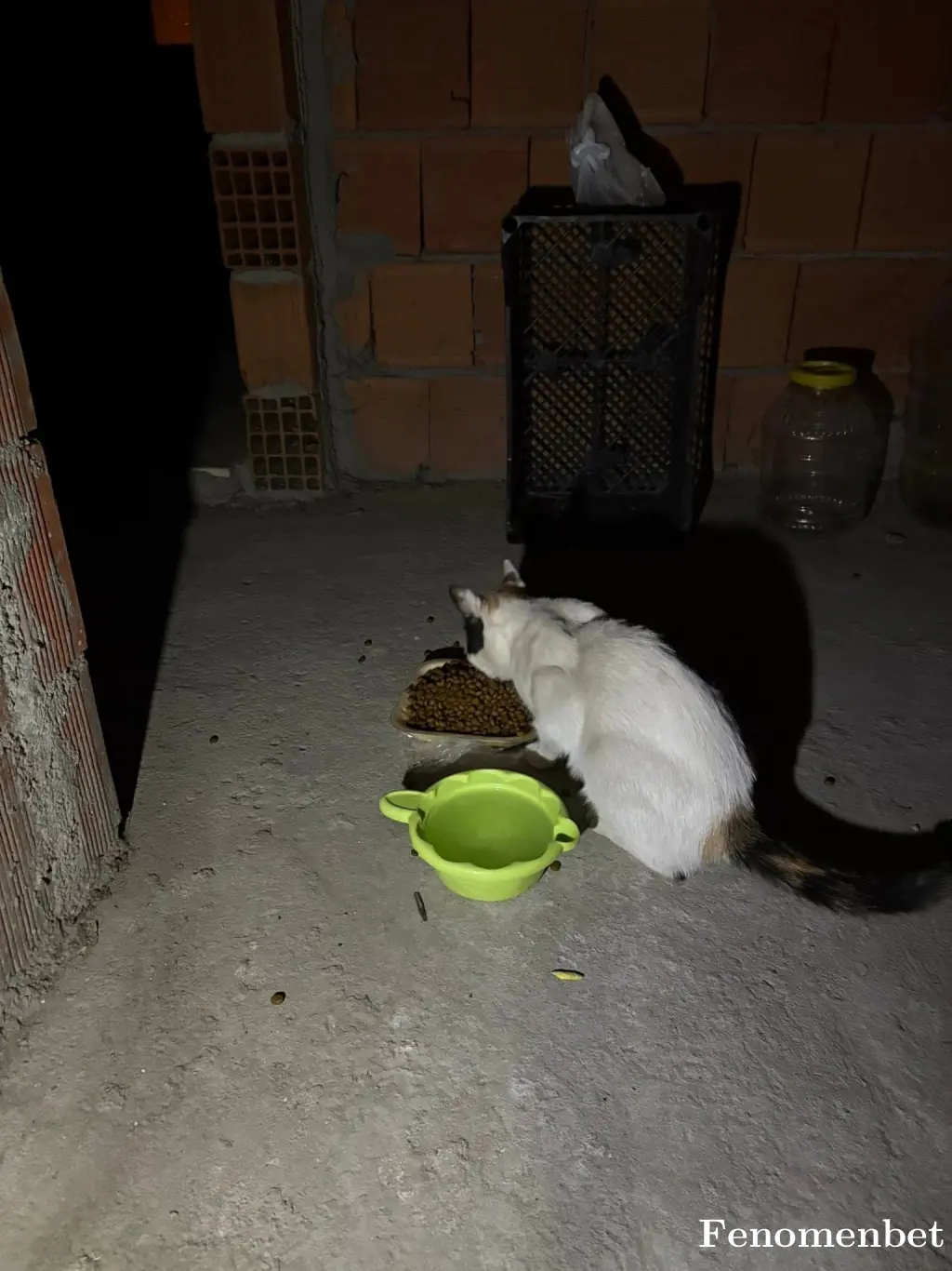 Nezirdak tarafından paylaşılan fotoğraf