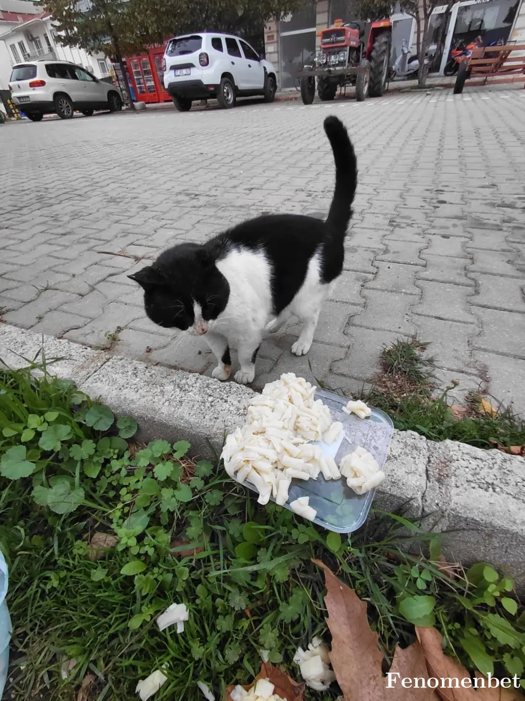 Sengizem35 tarafından paylaşılan fotoğraf