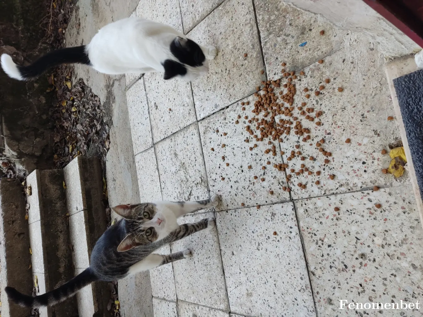 mustafaturkmen26 tarafından paylaşılan fotoğraf