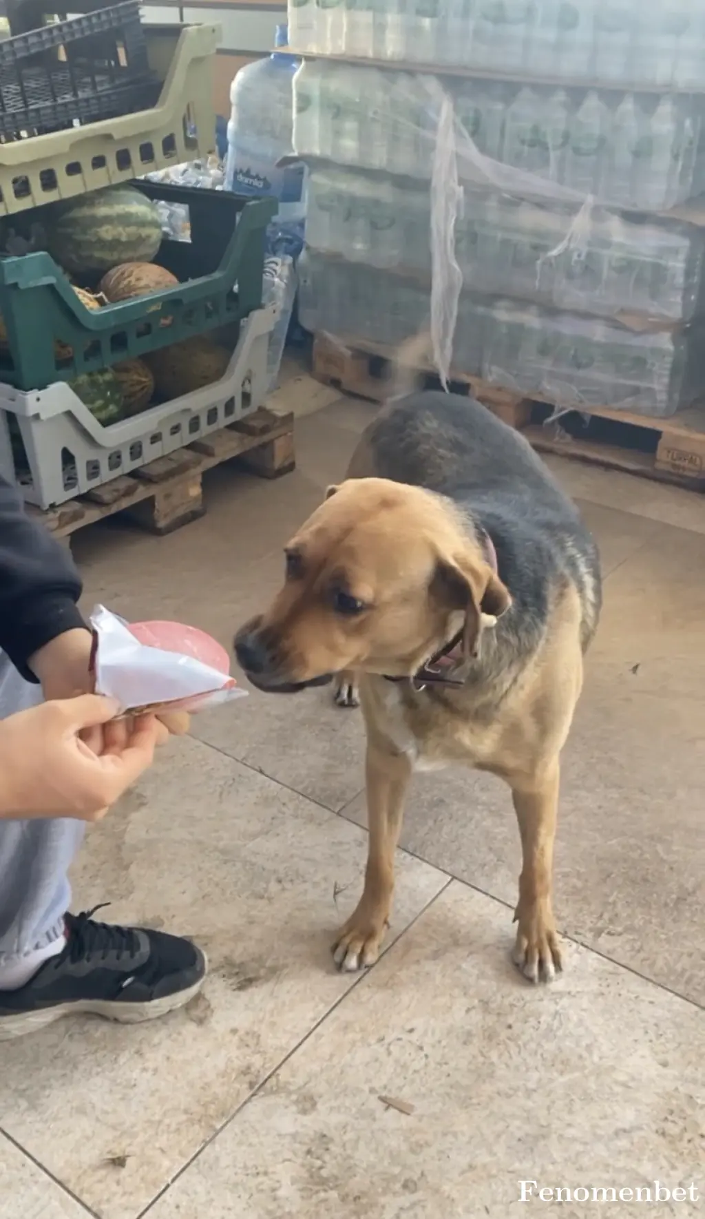 elaygtt tarafından paylaşılan fotoğraf