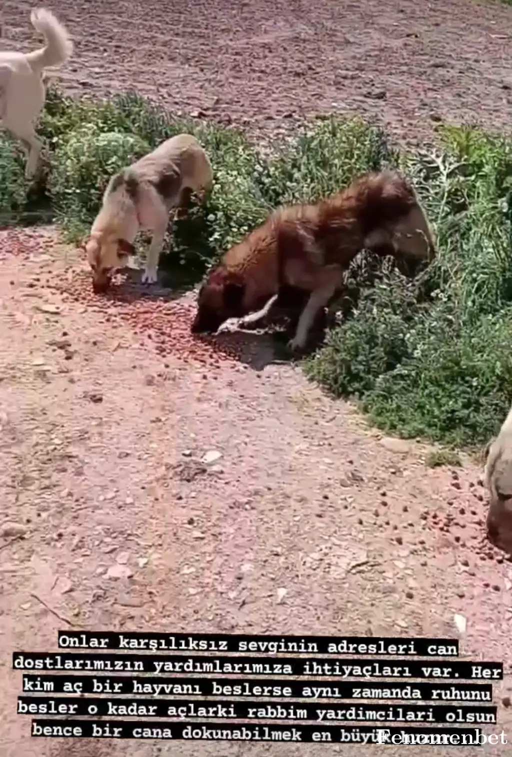 Fttttthfttttth tarafından paylaşılan fotoğraf