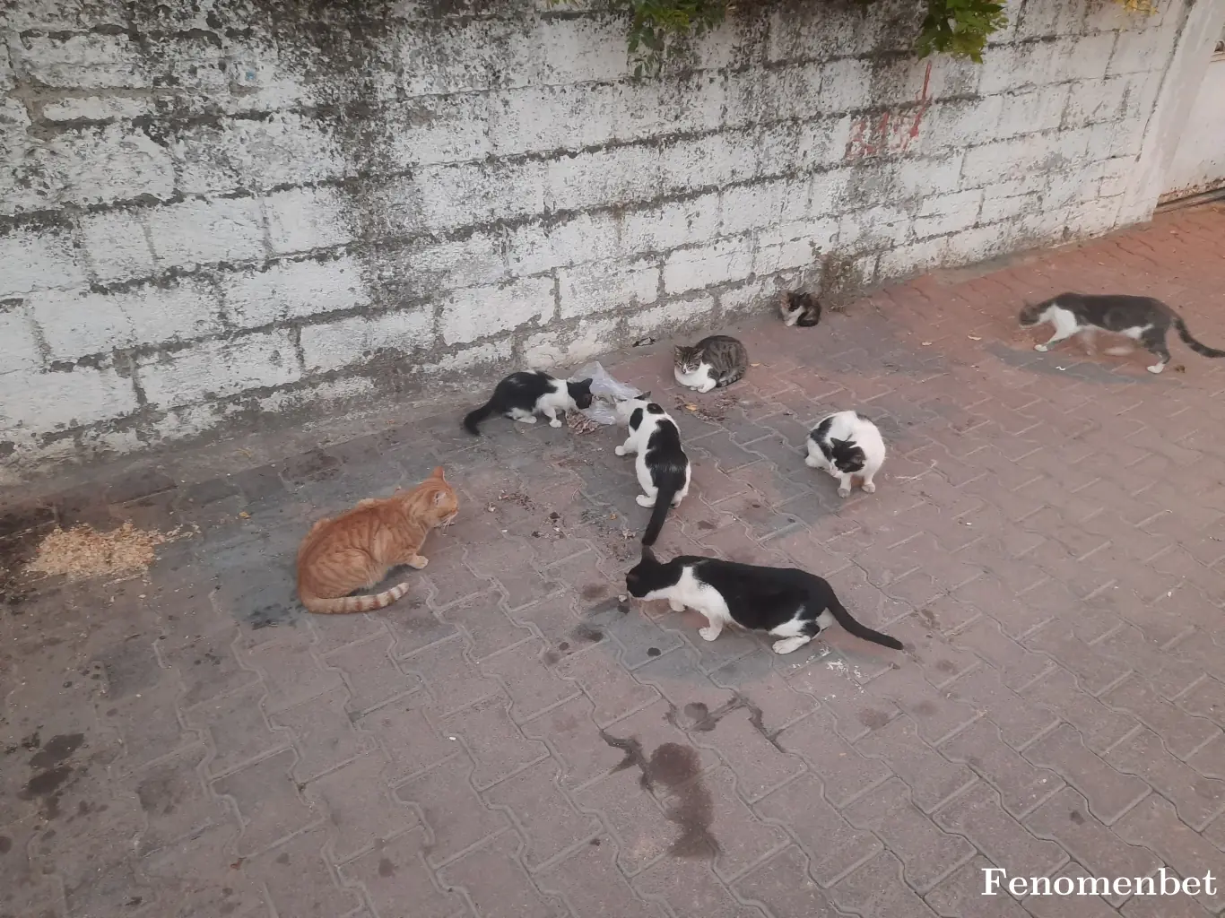 Dilanyldrm35  tarafından paylaşılan fotoğraf