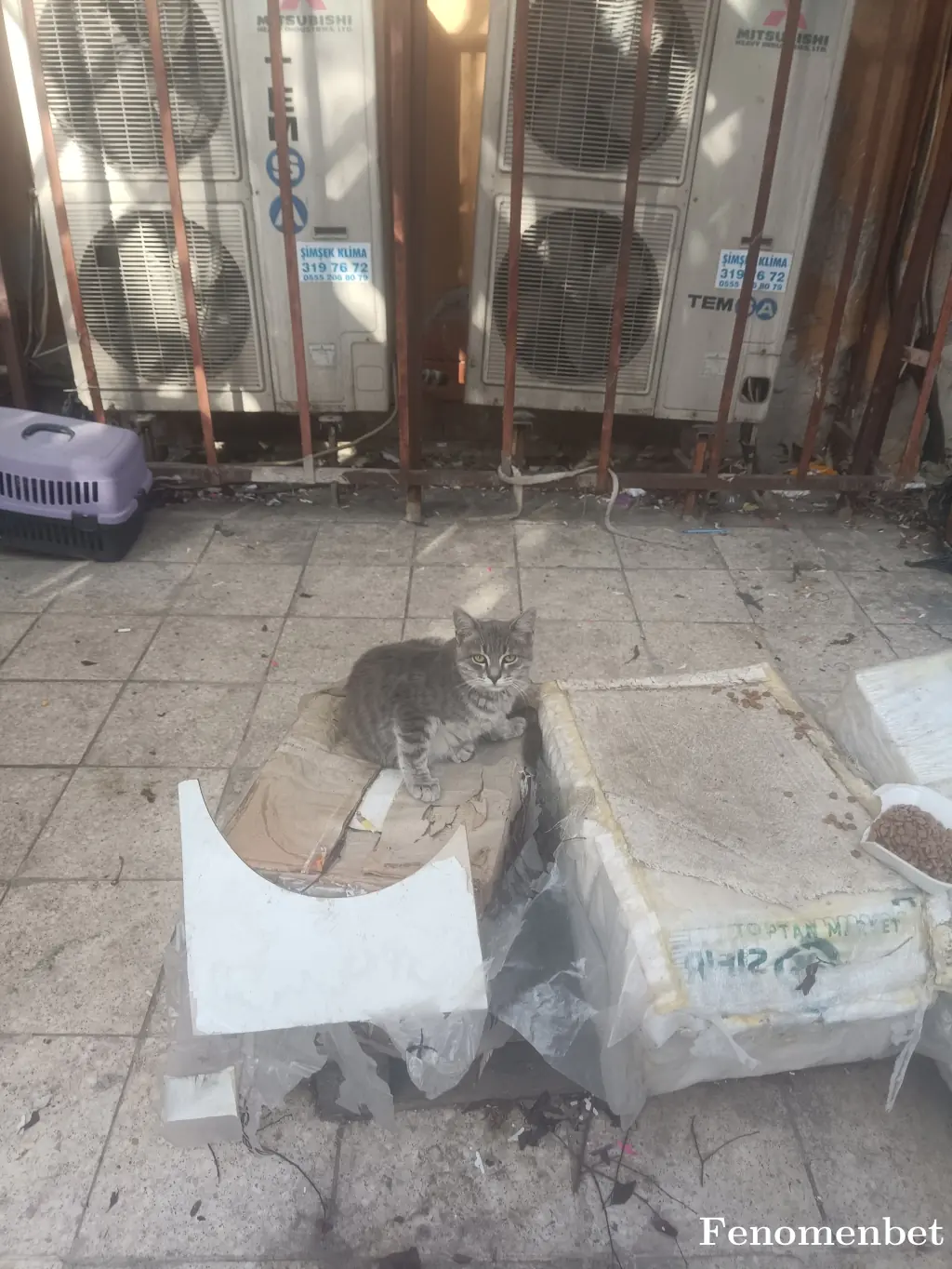 Nova06 tarafından paylaşılan fotoğraf