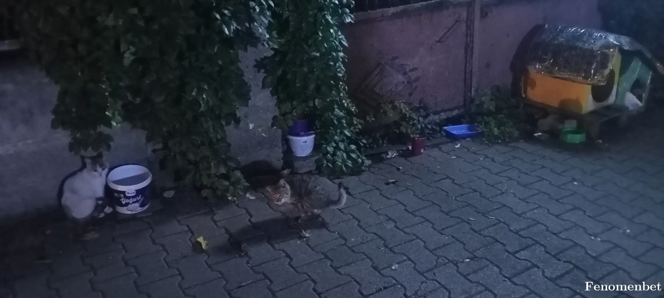 SSA55 tarafından paylaşılan fotoğraf