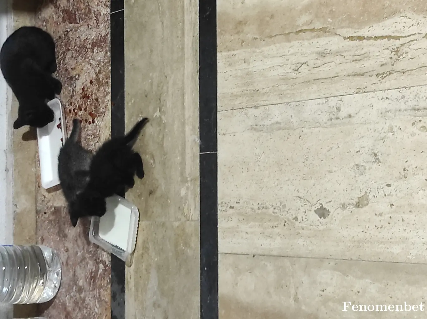 Alakise70 tarafından paylaşılan fotoğraf