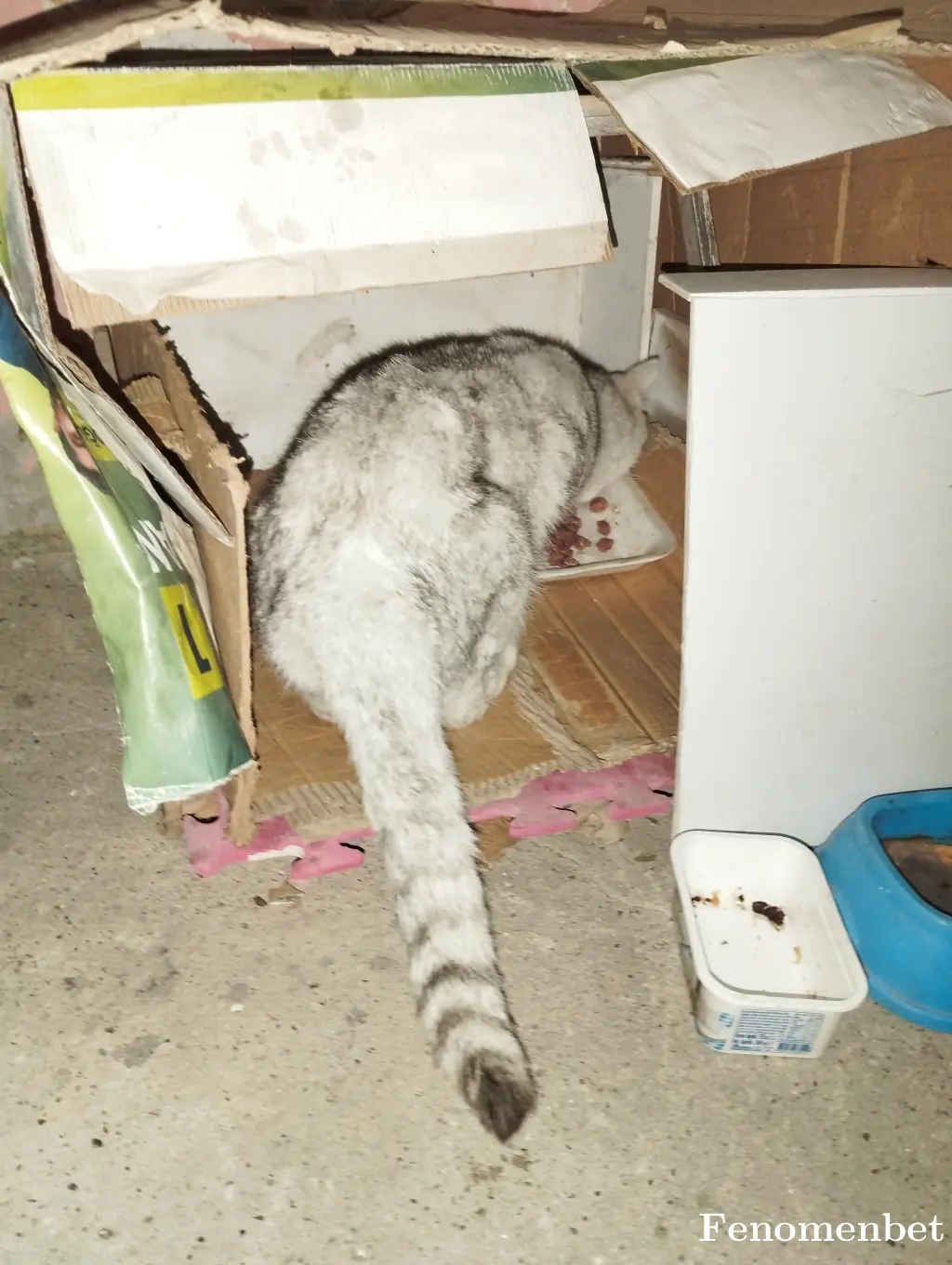 Masalmiray tarafından paylaşılan fotoğraf