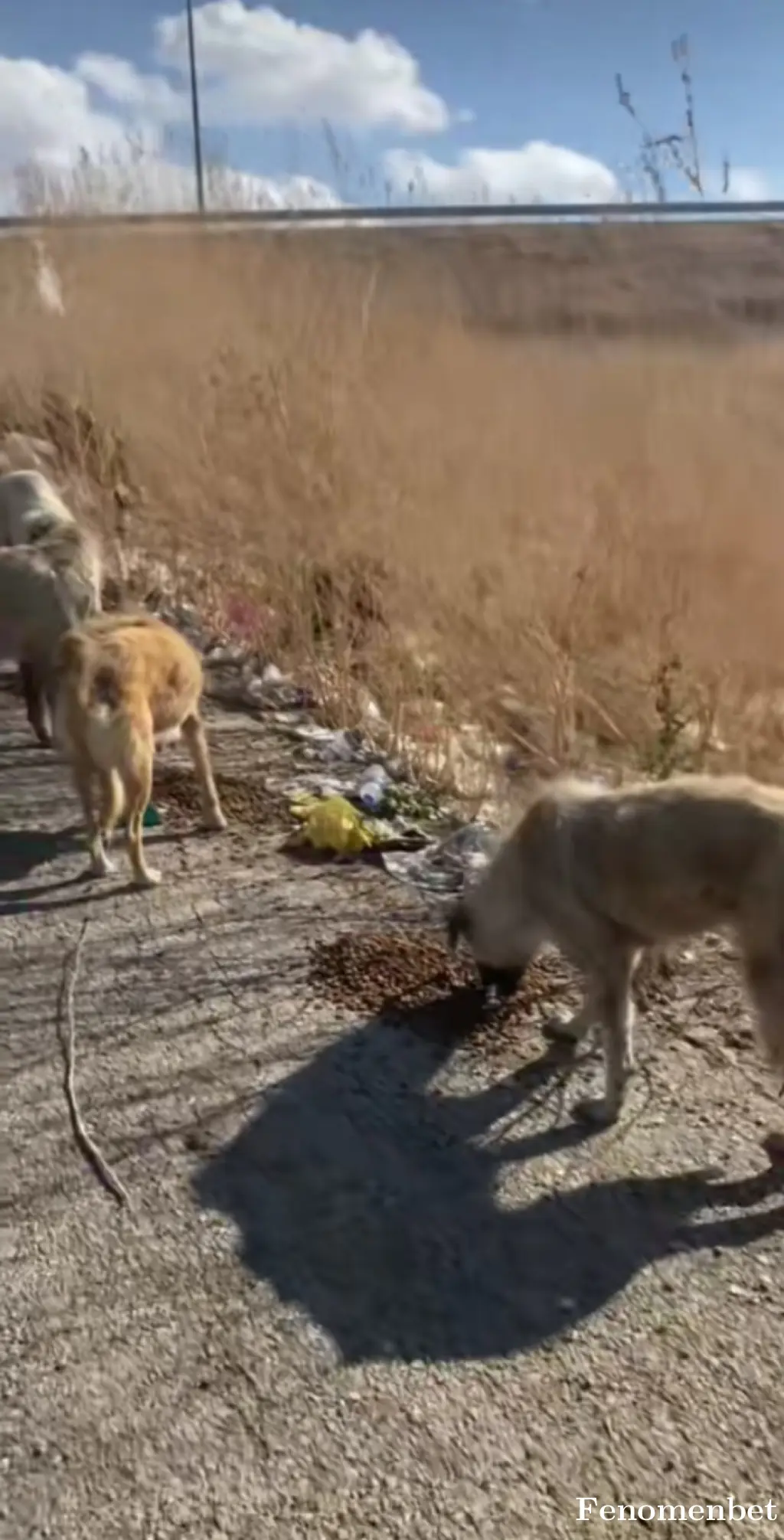 2meteparlak  tarafından paylaşılan fotoğraf