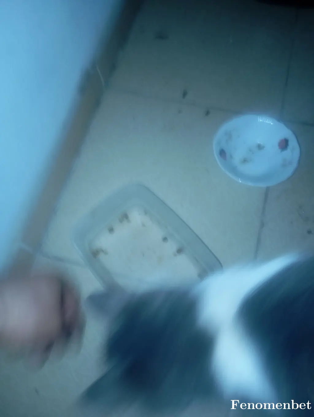 Tako3475 tarafından paylaşılan fotoğraf