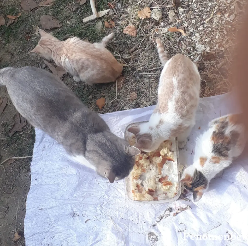 adm877 tarafından paylaşılan fotoğraf