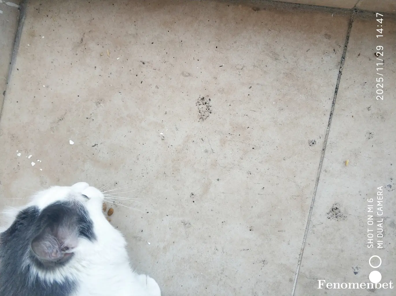 bilgehanerciyas tarafından paylaşılan fotoğraf