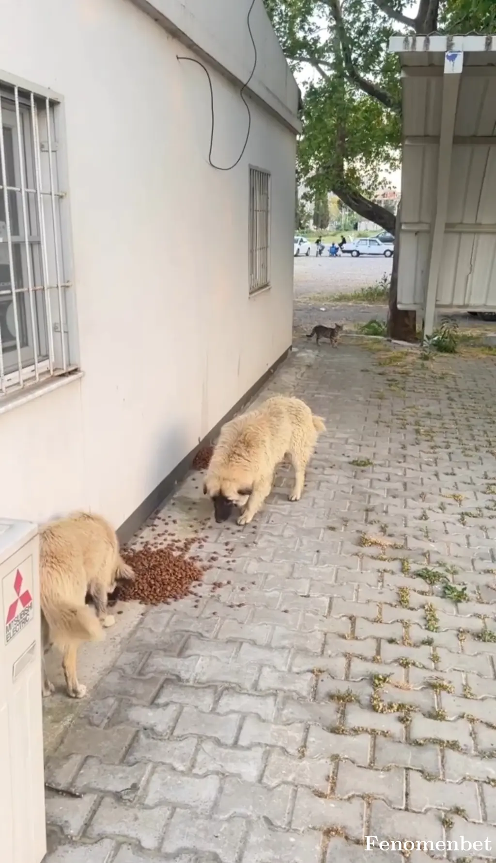 yavuzatalay tarafından paylaşılan fotoğraf