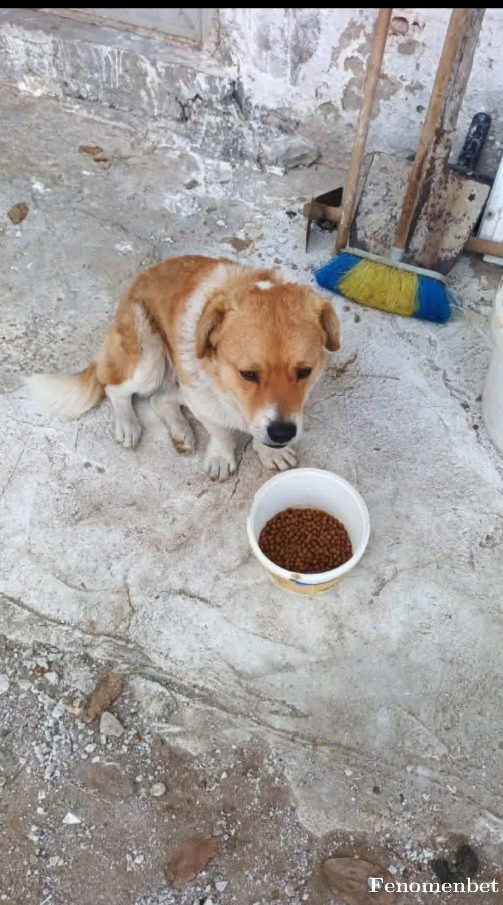 fuzula tarafından paylaşılan fotoğraf