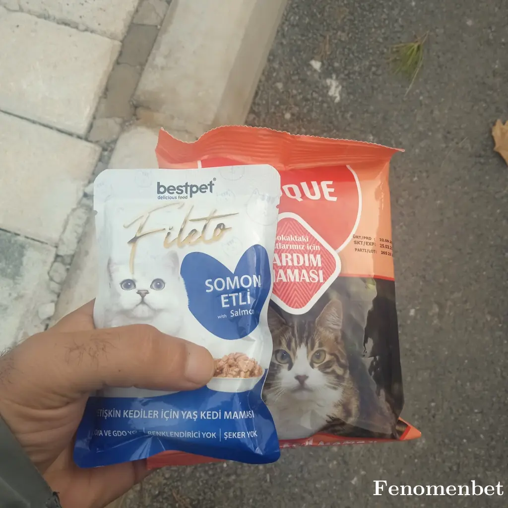 Neciperen21 tarafından paylaşılan fotoğraf