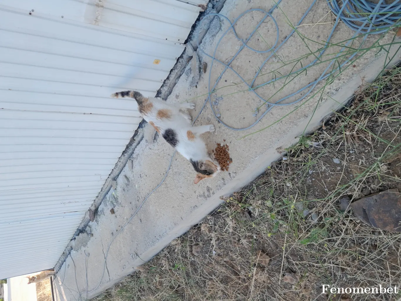 isazzt1 tarafından paylaşılan fotoğraf