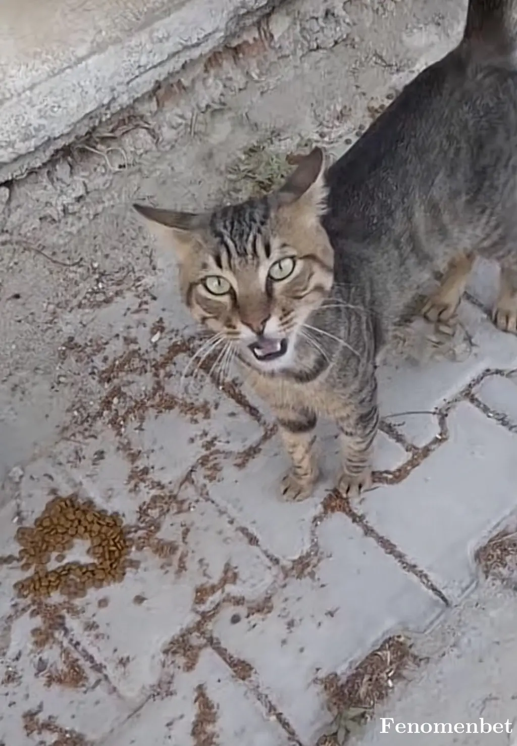 RicardoGuti tarafından paylaşılan fotoğraf