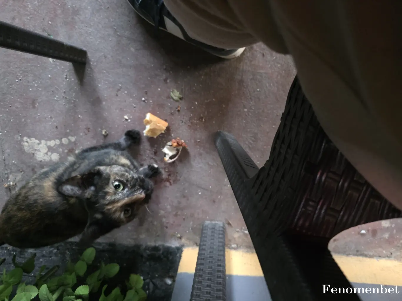 dogan3759 tarafından paylaşılan fotoğraf