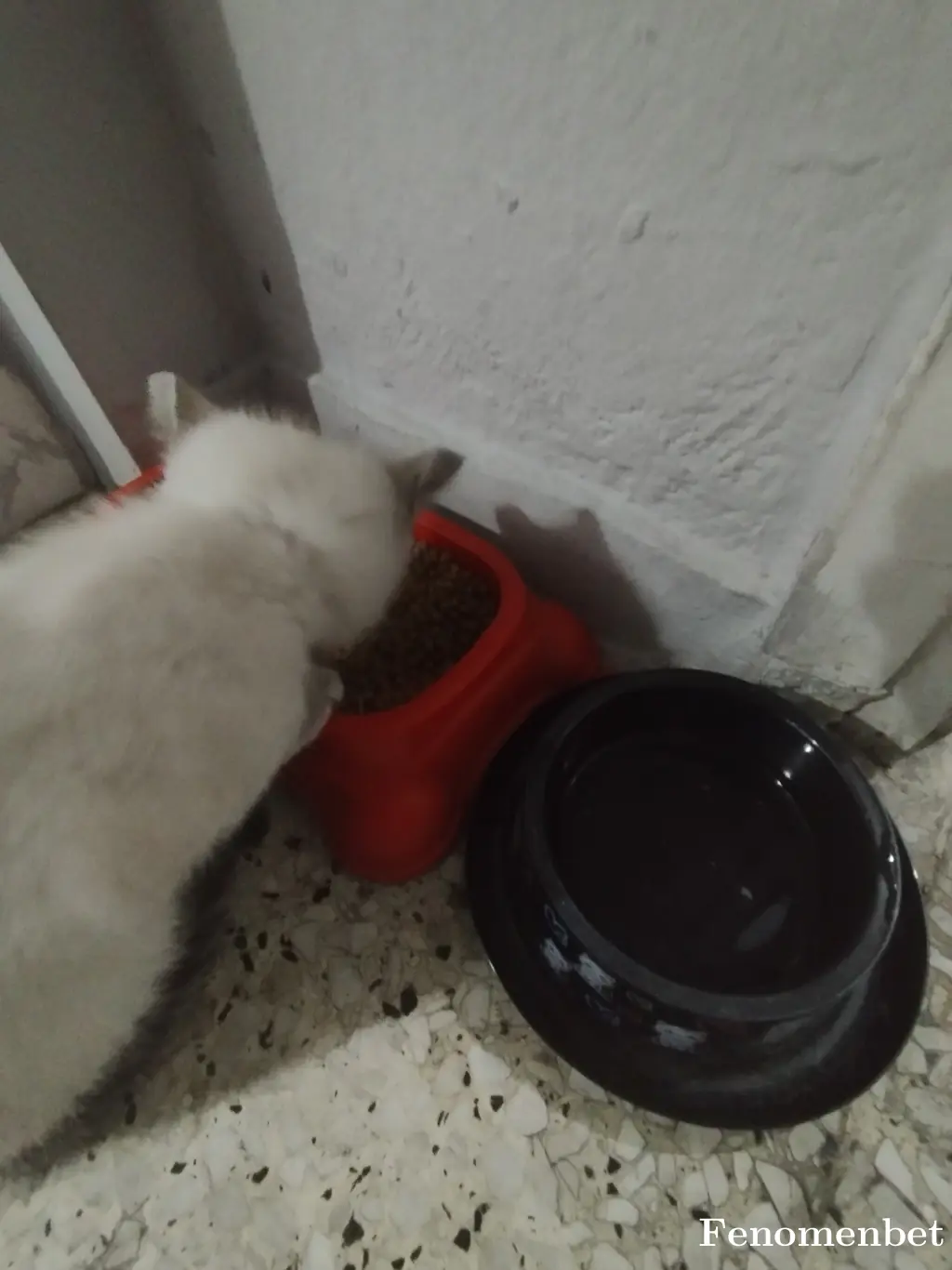 Serif2133 tarafından paylaşılan fotoğraf