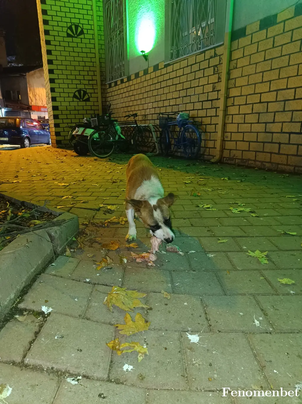 Sefabyzt1 tarafından paylaşılan fotoğraf