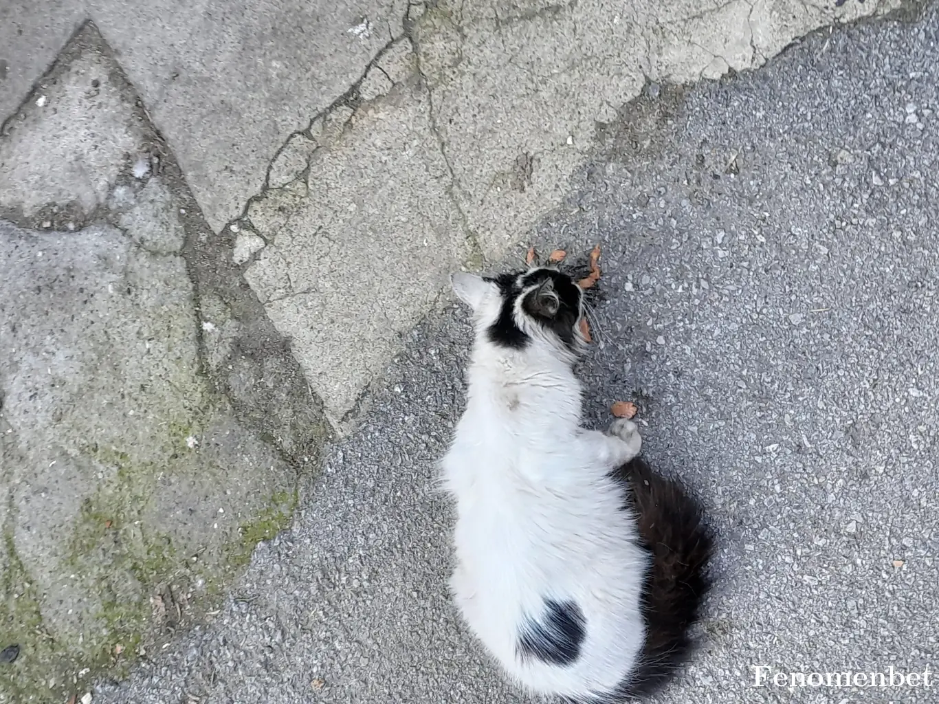 Mrlower12 tarafından paylaşılan fotoğraf