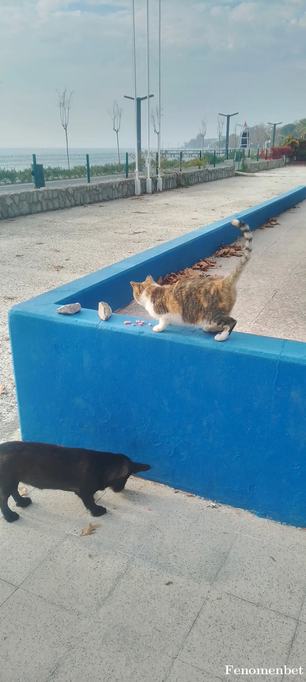 Aliglgc4134 tarafından paylaşılan fotoğraf