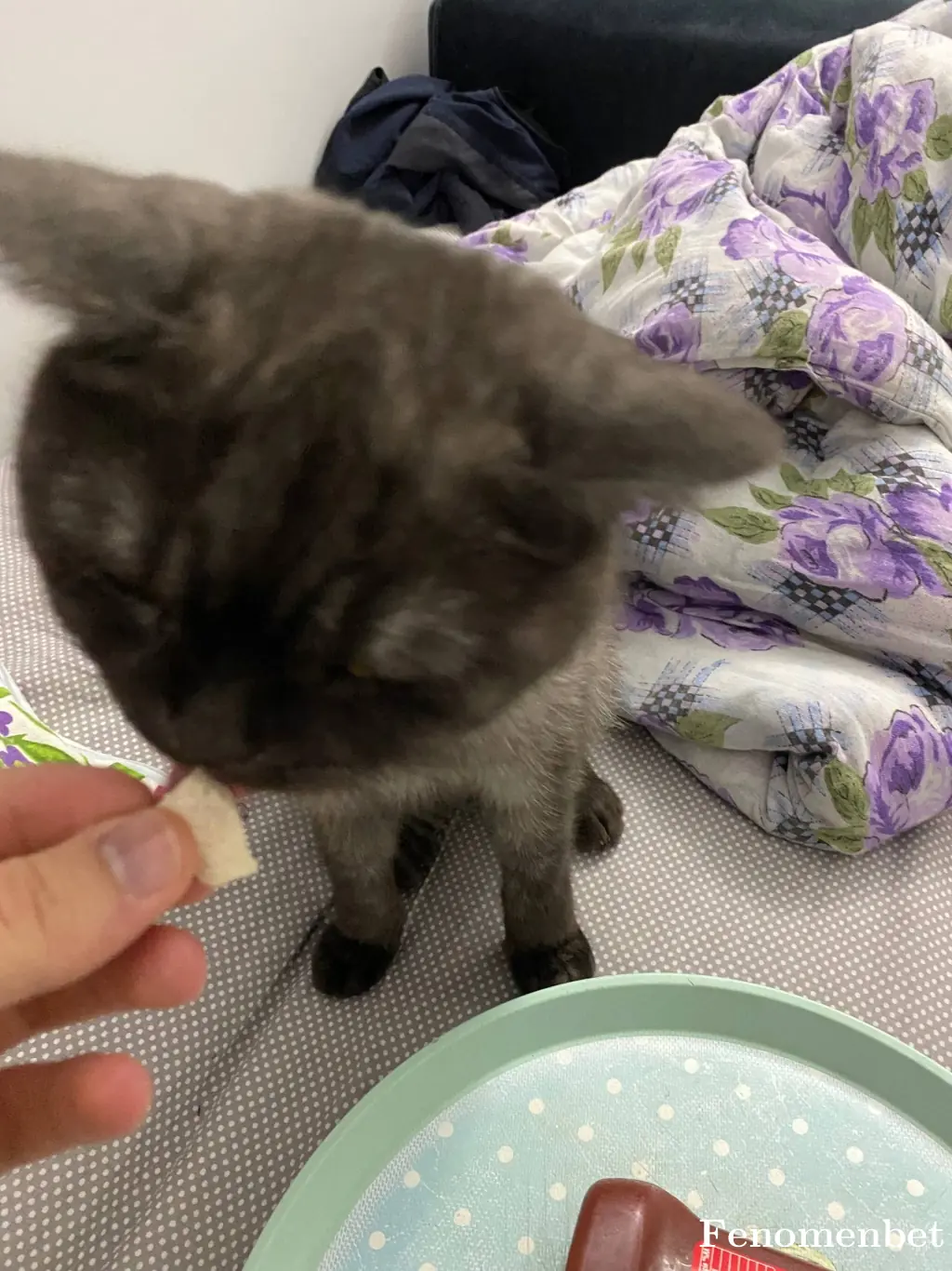 Kayzen60 tarafından paylaşılan fotoğraf