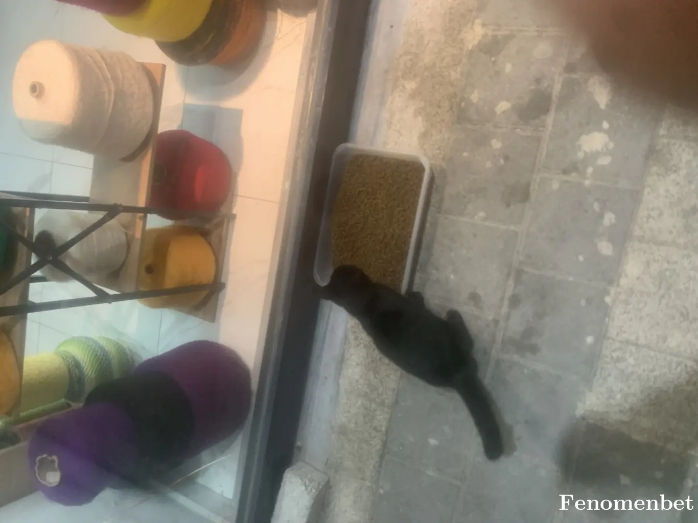 Barmen52 tarafından paylaşılan fotoğraf