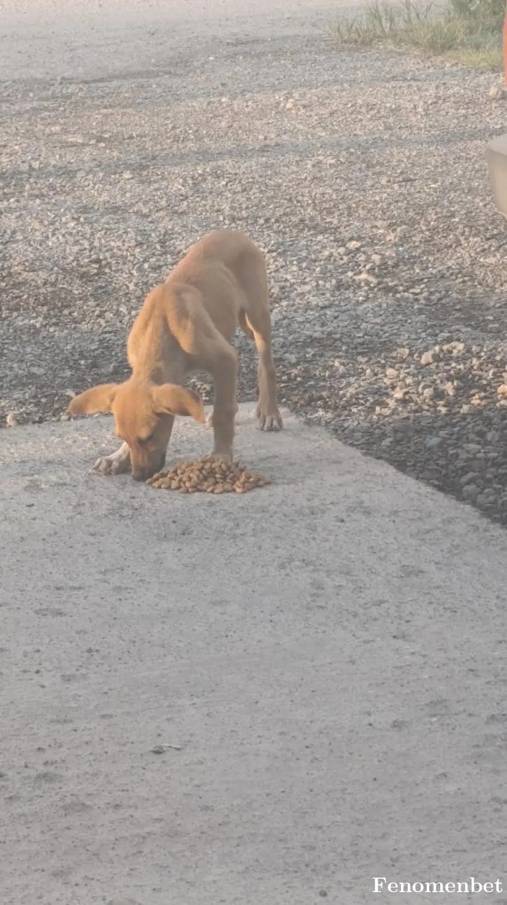 illeqaLz tarafından paylaşılan fotoğraf