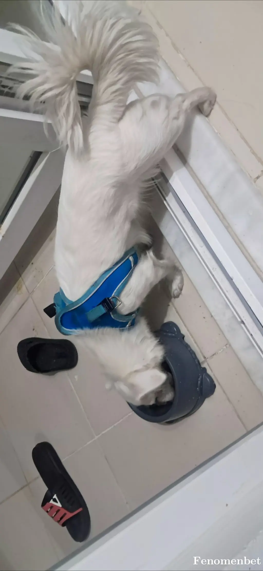 Plt123  tarafından paylaşılan fotoğraf