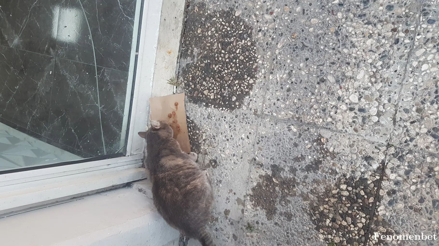 cerrah53 tarafından paylaşılan fotoğraf