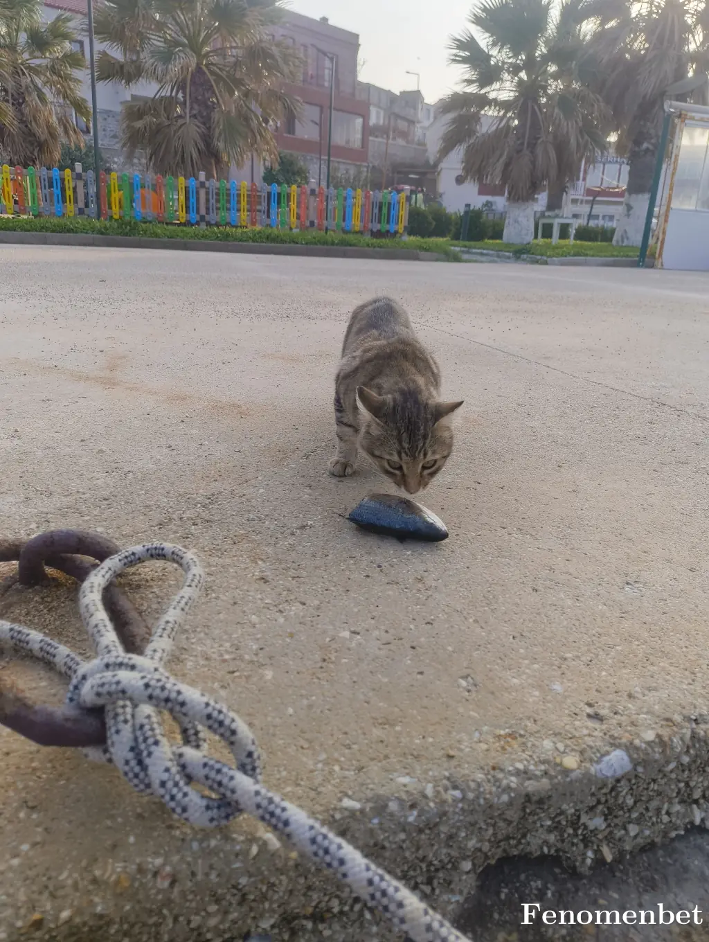 Fat1hh17 tarafından paylaşılan fotoğraf