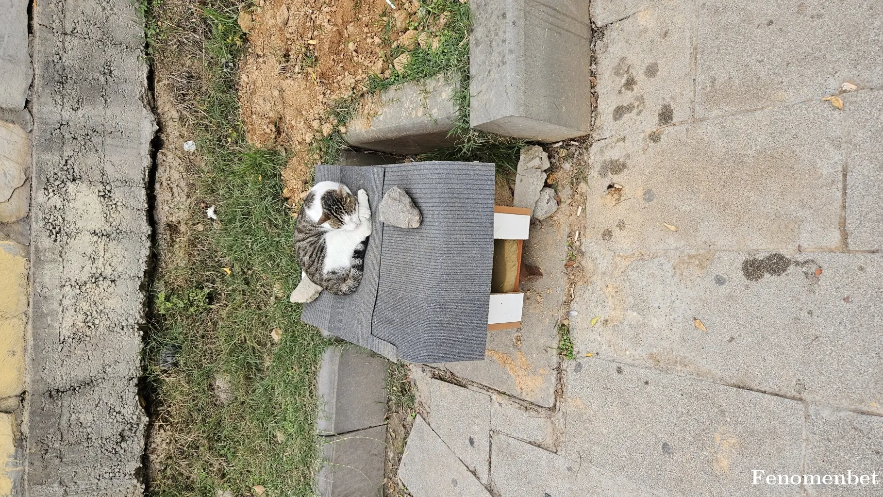 betboy17  tarafından paylaşılan fotoğraf