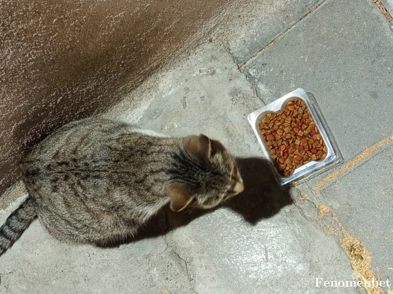 Furkann58 tarafından paylaşılan fotoğraf