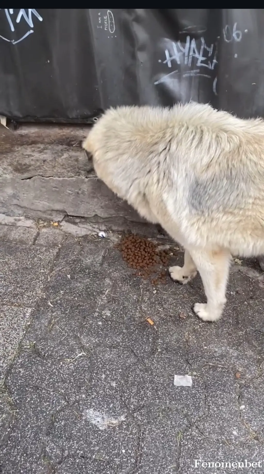 Nike3535 tarafından paylaşılan fotoğraf