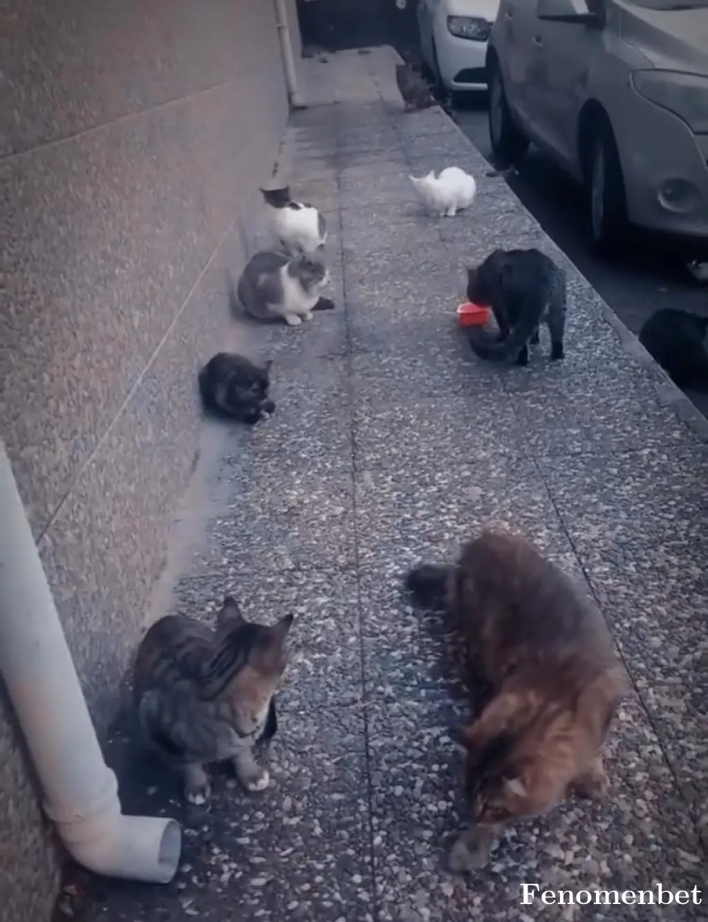 Kadir121616 tarafından paylaşılan fotoğraf