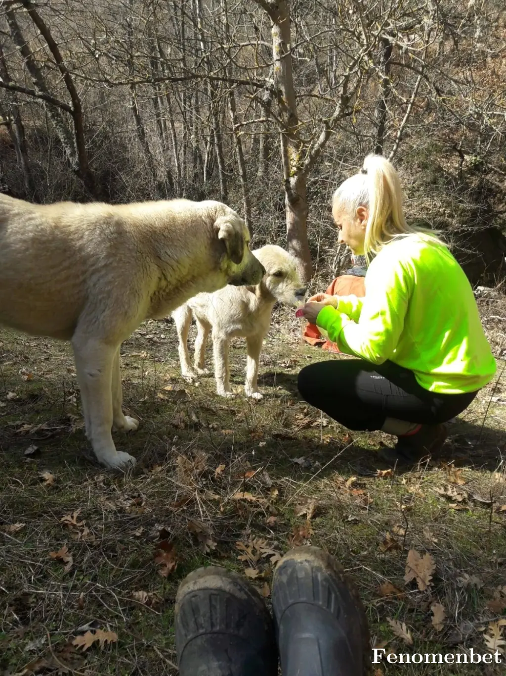 Tutu68 tarafından paylaşılan fotoğraf