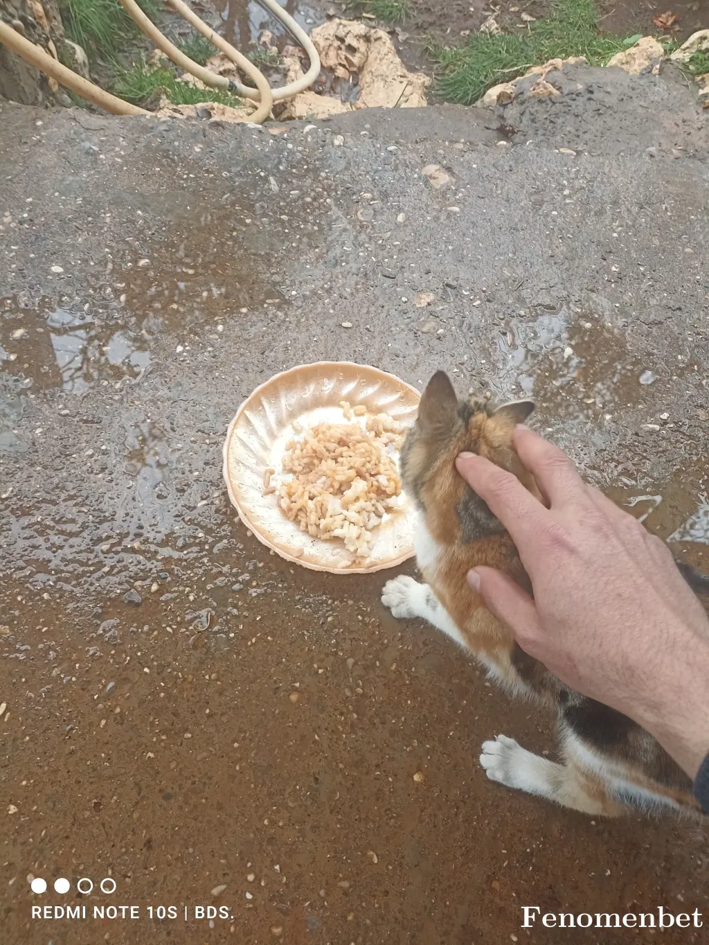 Hsnbds33 tarafından paylaşılan fotoğraf