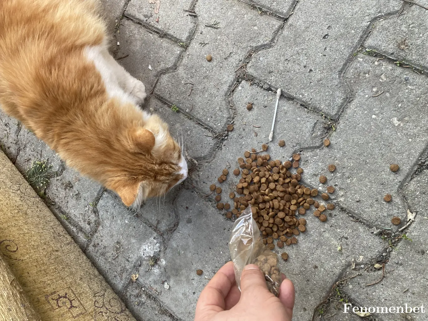 Zeddat tarafından paylaşılan fotoğraf