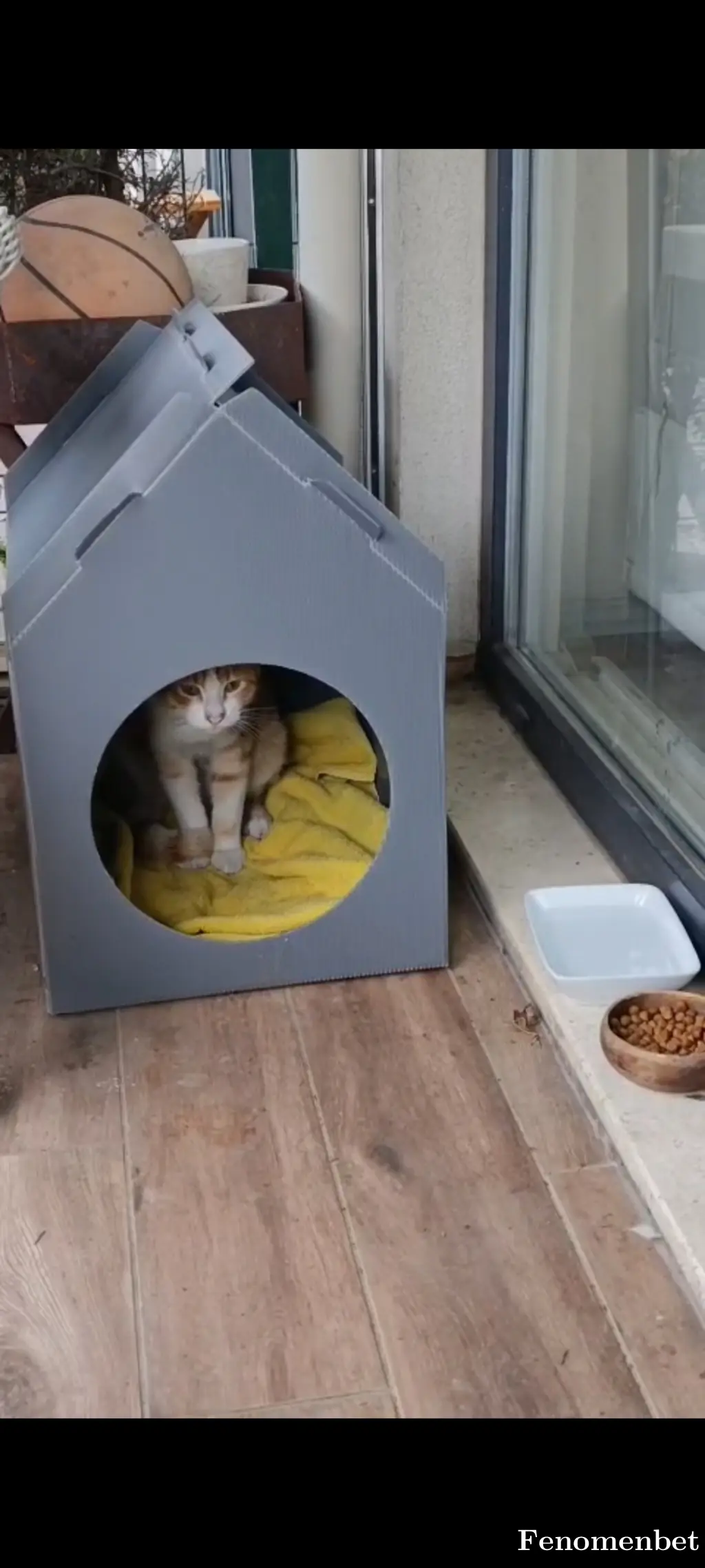 Sengulcapa tarafından paylaşılan fotoğraf