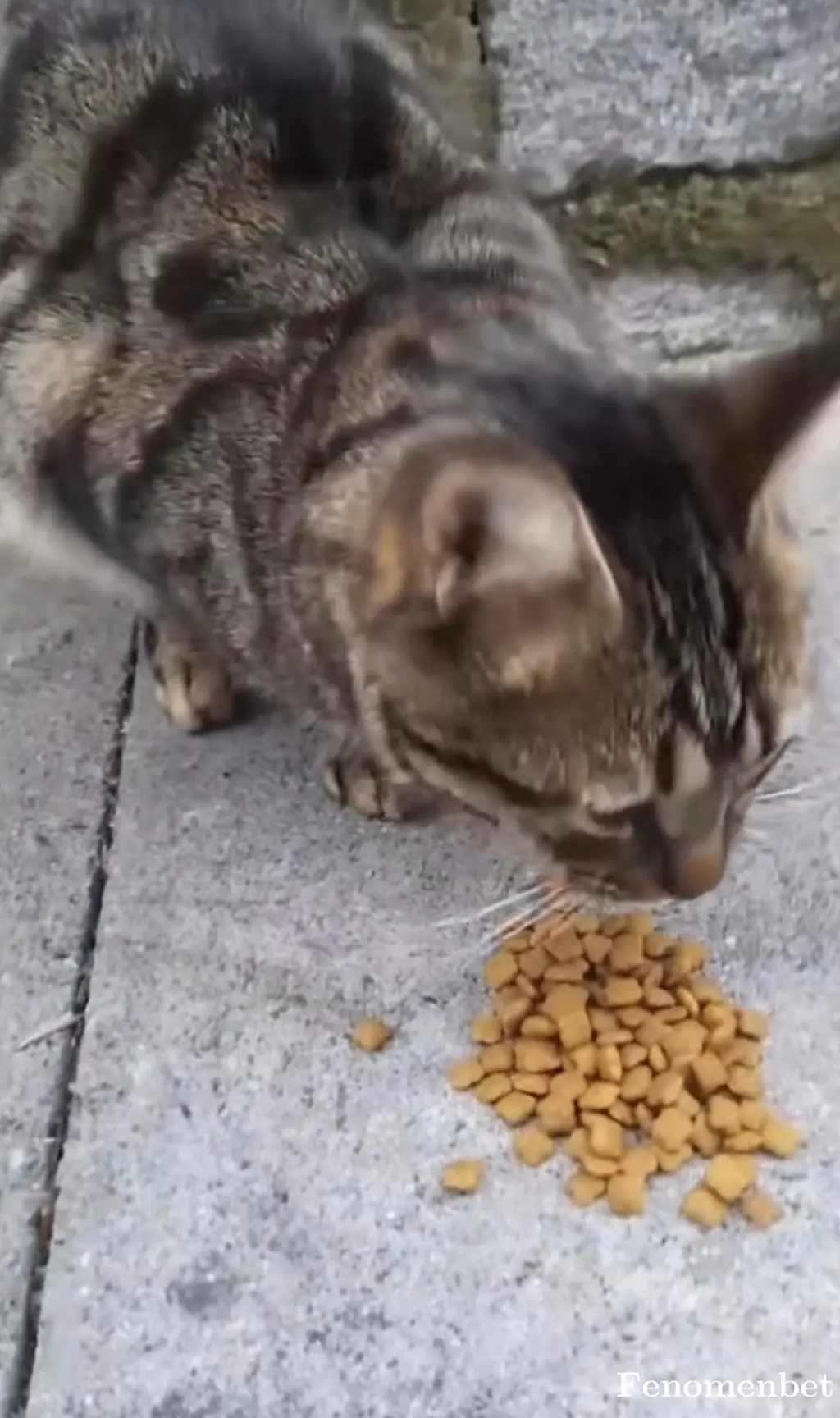 messss24 tarafından paylaşılan fotoğraf