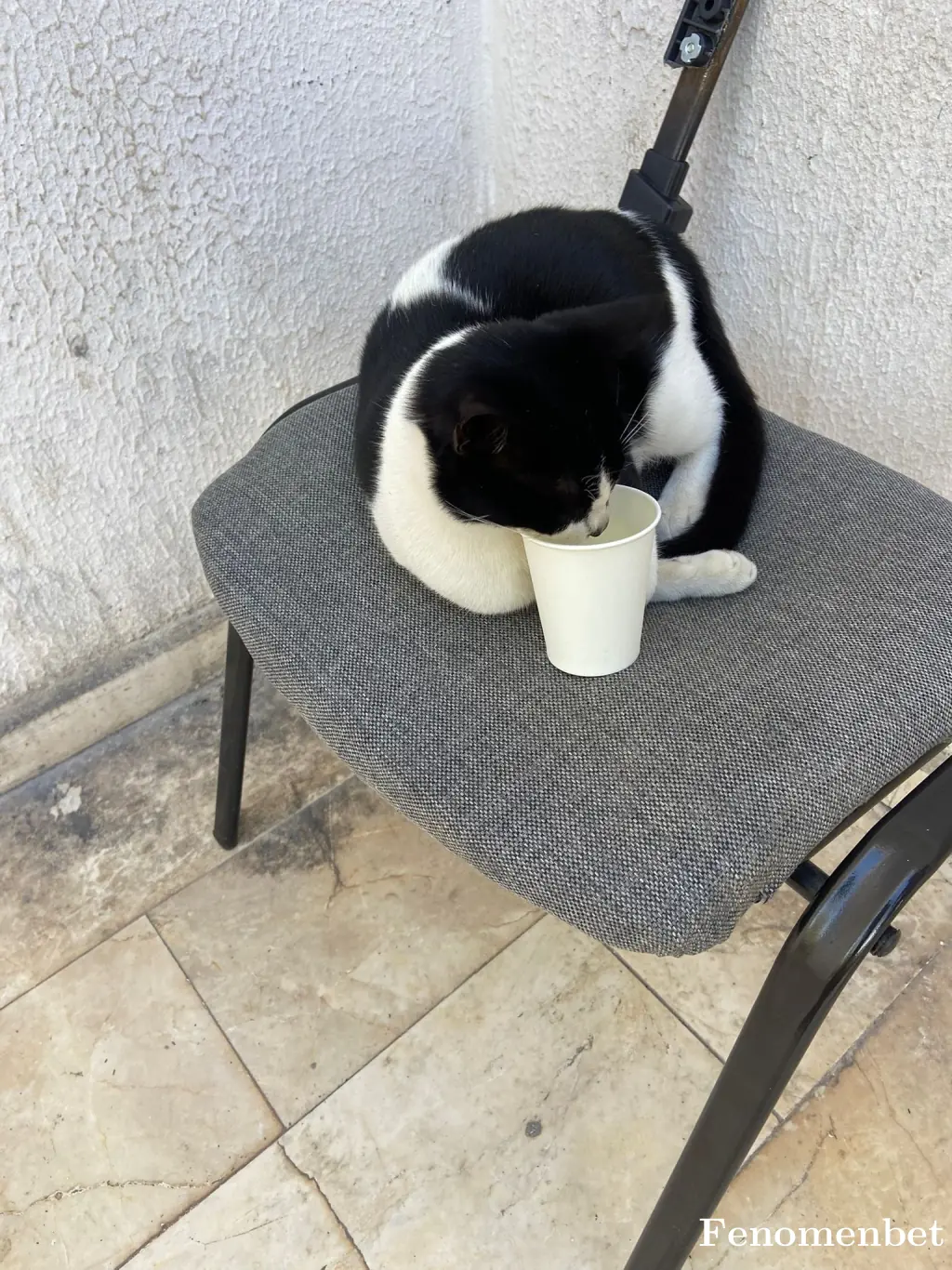 hamzadnz tarafından paylaşılan fotoğraf